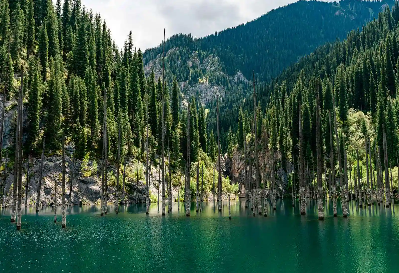 Day 4 — Mysteries of the Sunken Forest of Kaindy and Return